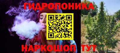гидропоника Заводоуковск