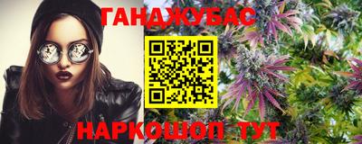 гидропоника Заводоуковск